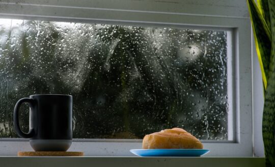 Chuyen mot chieu mua 1 540x328