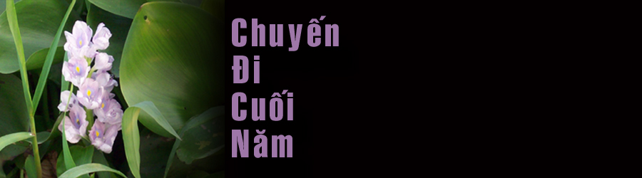ChuyenDiCuoiNam