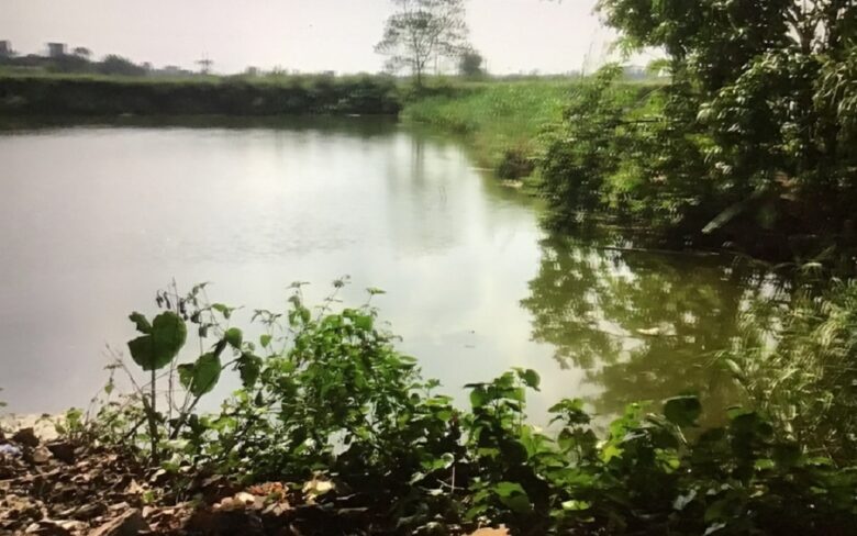 Lang que Vu Ban Nam Dinh 780x488