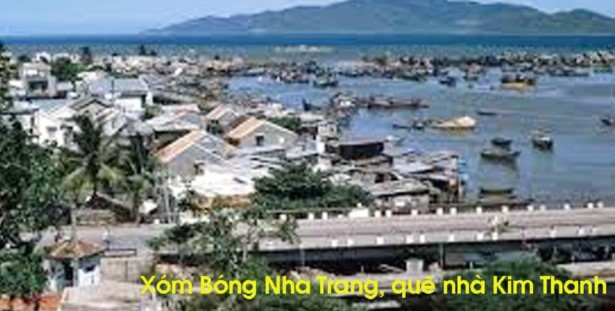 VTDkimthanh1