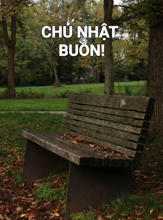 chunhatbuon