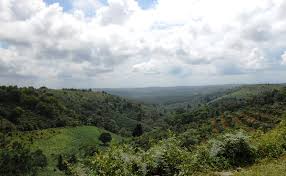 daklak