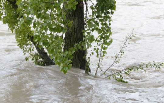 flood 123196 1280 540x338