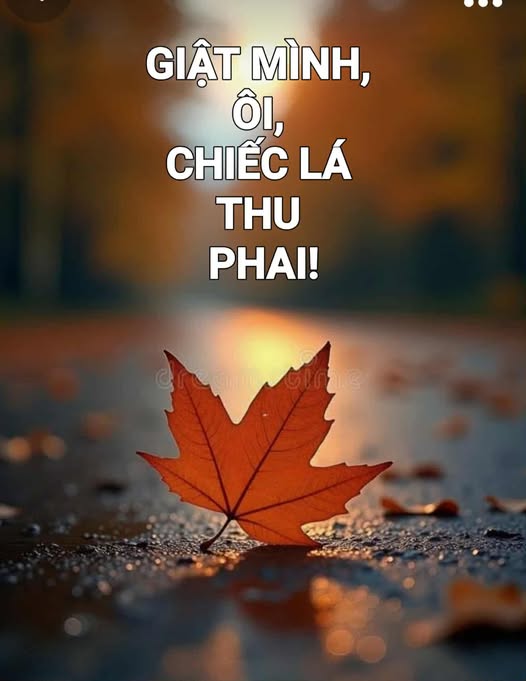 kiepnaocoyeunhau