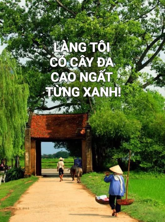 langtoicocaydacaongattungxanh