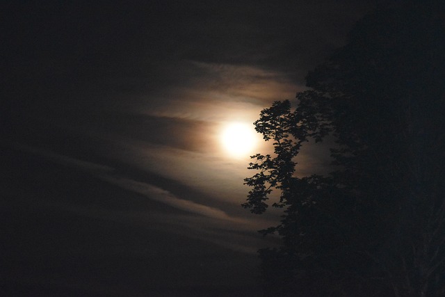 moonrise 7208079 640