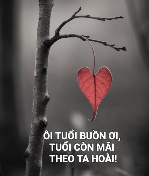 oituoibuonoituoiconmaitheotahoai