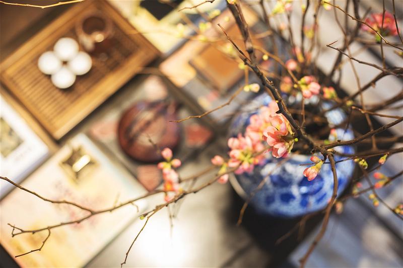 photo nguyen lap hau