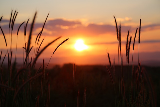 sunset 3416768 640