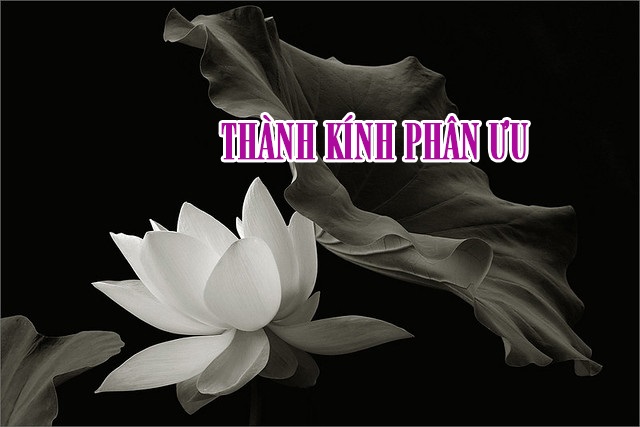 thanh kinh phan uu 1627321558 iuhpn