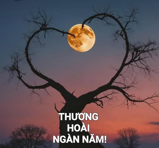 thuonghoaingannamphm