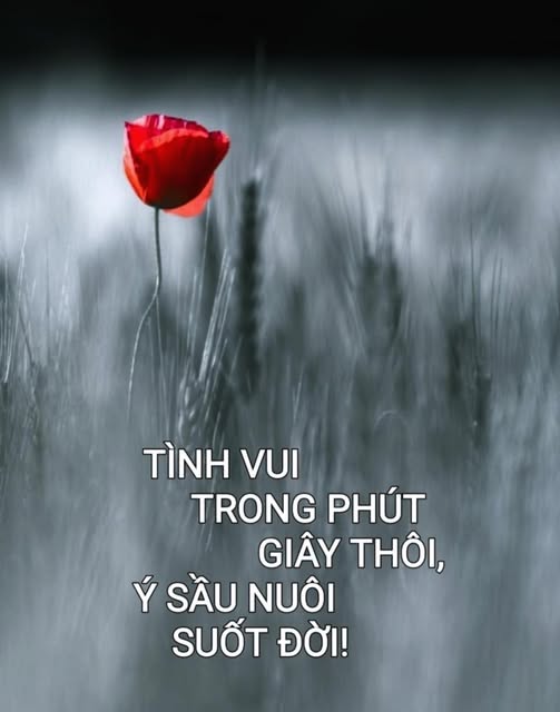 tinhvuitrongphutgiaythoiysaunuoisuotdoi