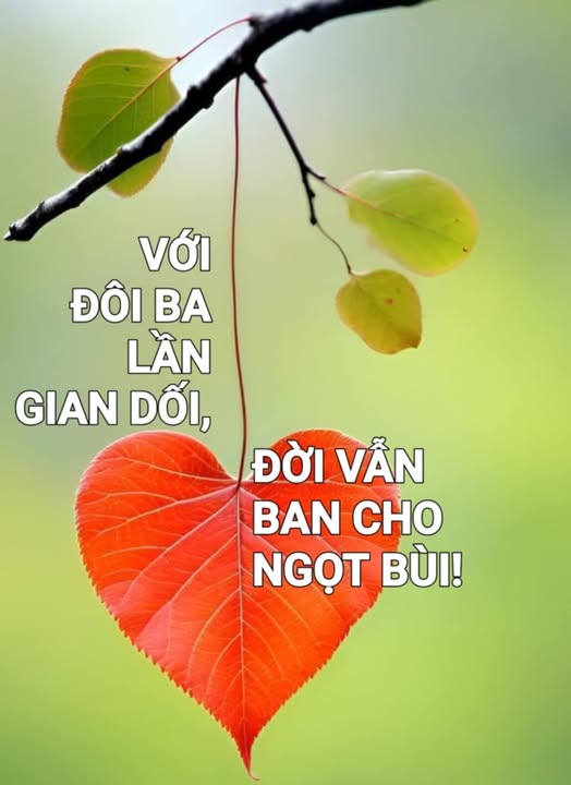 voidoibalangiandoi