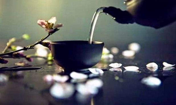 y nghia van hoa tra dao viet