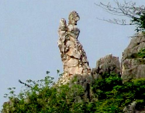 honvongphu