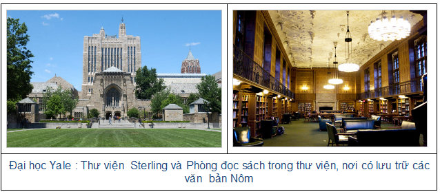yale