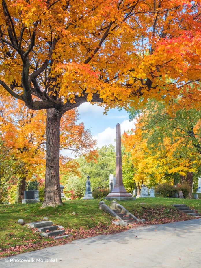 Nghia trang Notre Dame des Neiges Mont Royal image 03 696x928