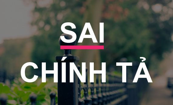 sai chinh ta 3