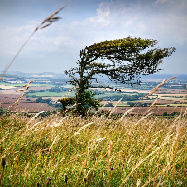 wind