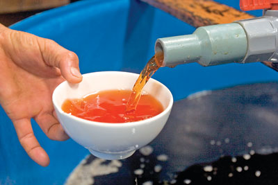 nuoc mam bao ninh1