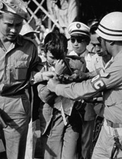 Haminhtri1957