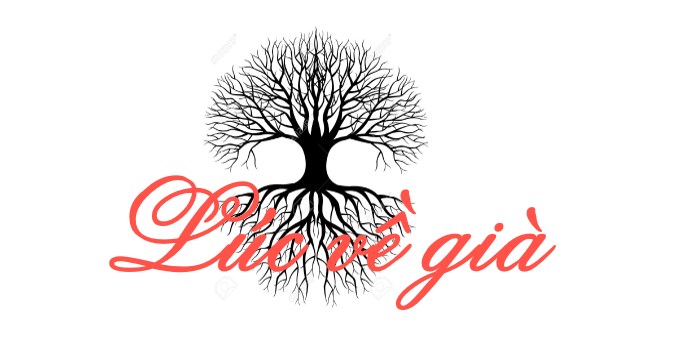 Luc Ve GIa