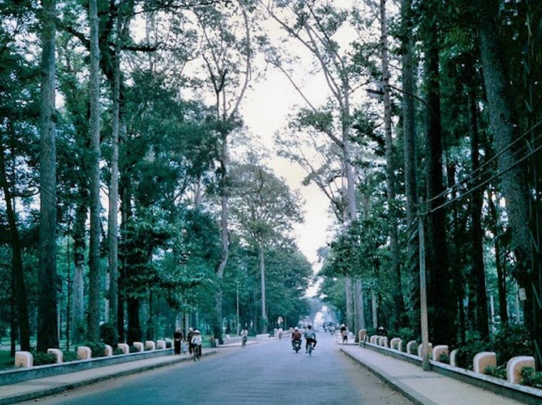 duong pho saigon2