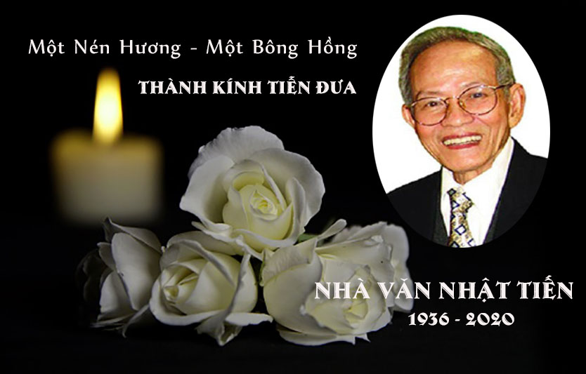 nenhoatrangtiendua