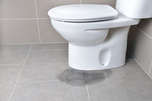 toilette austauschen kosten 1 520x346