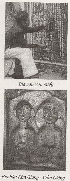 truongviendongbacco biavanvanmieubiahaukimgiang