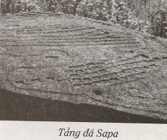 truongviendongbacco tangdasapa