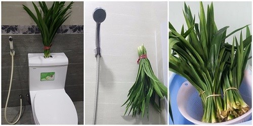meo khu mui hoi hieu qua trong wc
