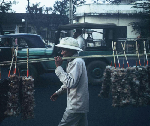 cay choi long ga