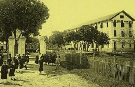tieuhoc6
