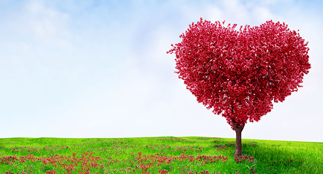 red heart tree