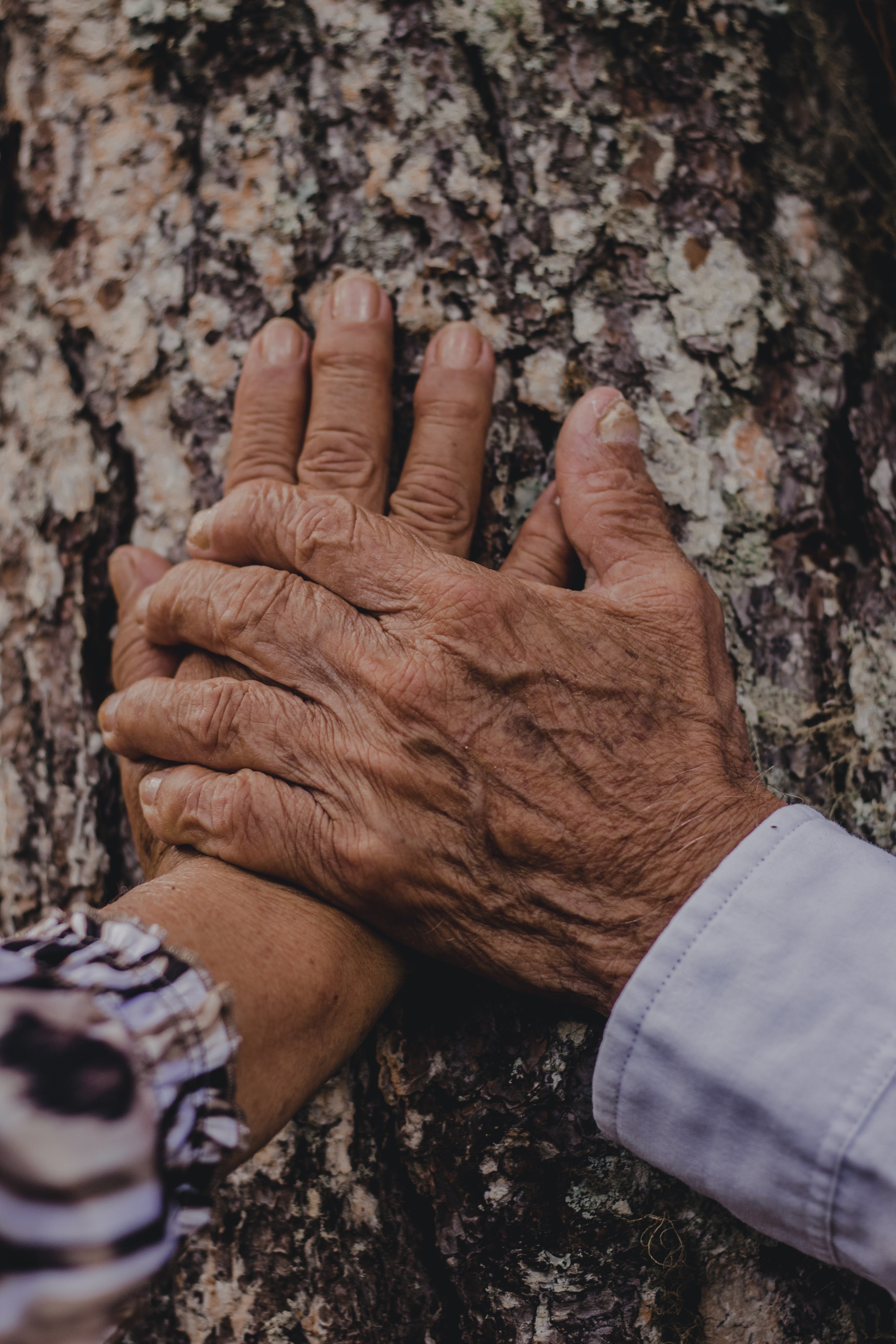 hand 9117068 1280 540x360