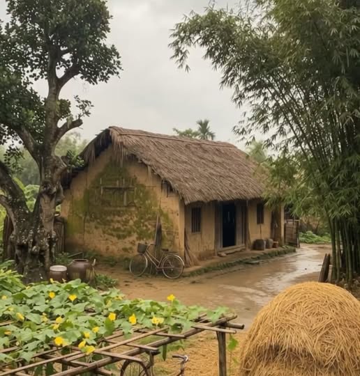 bongmabenngondentumu