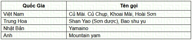 cusam3