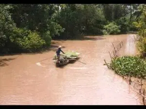 tham dam 300x225