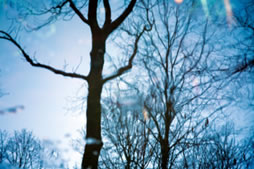 tho nguyenhoangnguyen 2