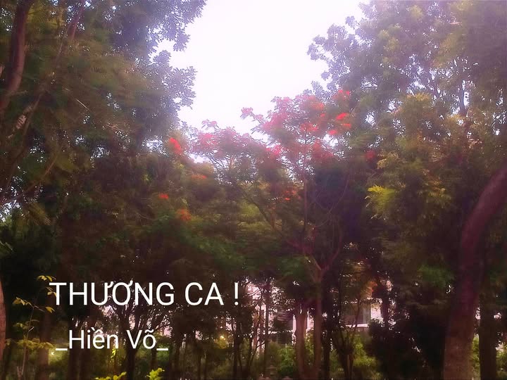 thuongcahienvo