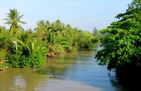 Tiếng Đờn Cò Trên Dòng Sông Ô Môn - Nguyễn Vĩnh Long Hồ