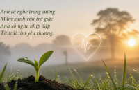Anh Có Nghe - Lâm Băng Phương