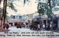 Chuyện Vãn: Cà Phê Phố Núi Pleiku - Vương Trùng Dương 