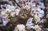 Đâu Đó Vẫn Còn... - Phan