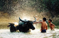 Miền Quê Ngòn Ngọt Tuổi Thơ - Nguyễn Thị Liên Tâm