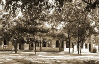 Nắng Sân Trường Năm Ấy - Lê Thi Nắng Sân Trường Năm Ấy - Lê Thi