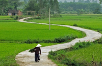 Nguồn Cội Xót Xa - Phạm Tín An Ninh