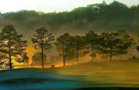 Nhớ Đà Lạt Sương Chiều - Nguyễn An Bình