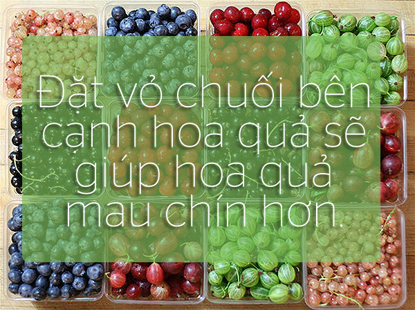 6 tien ich khong ngo toi cua vo chuoi2